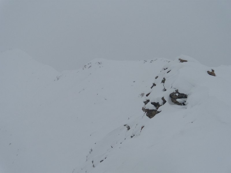 foto novembre 076.jpg